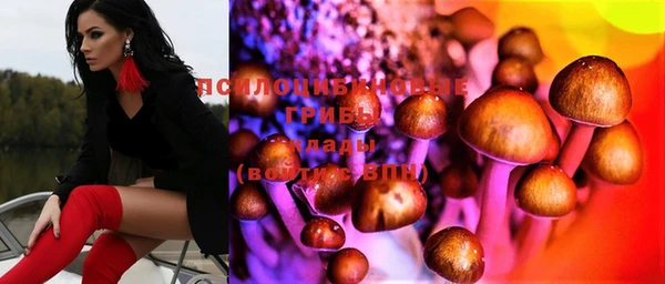 кокс Алексеевка