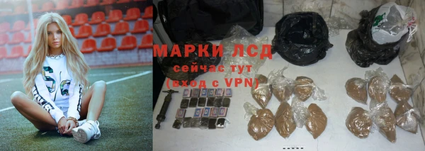 гидропоника Алзамай